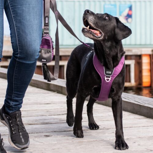 Dog Copenhagen Comfort Walk Pro Harnas Roze