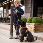 Dog Copenhagen Comfort Walk Pro Harnas Blauw